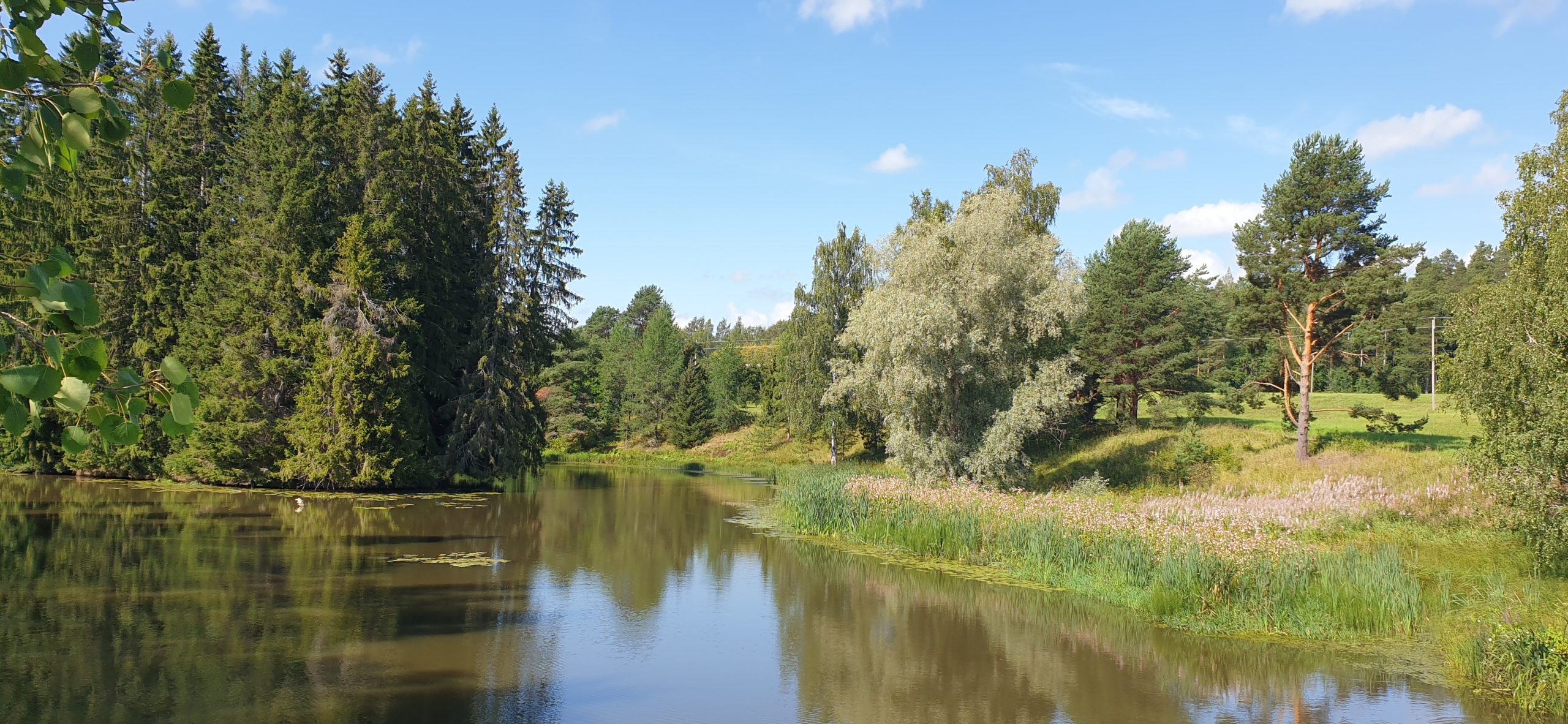 Kuvassa on Porvoonjoki