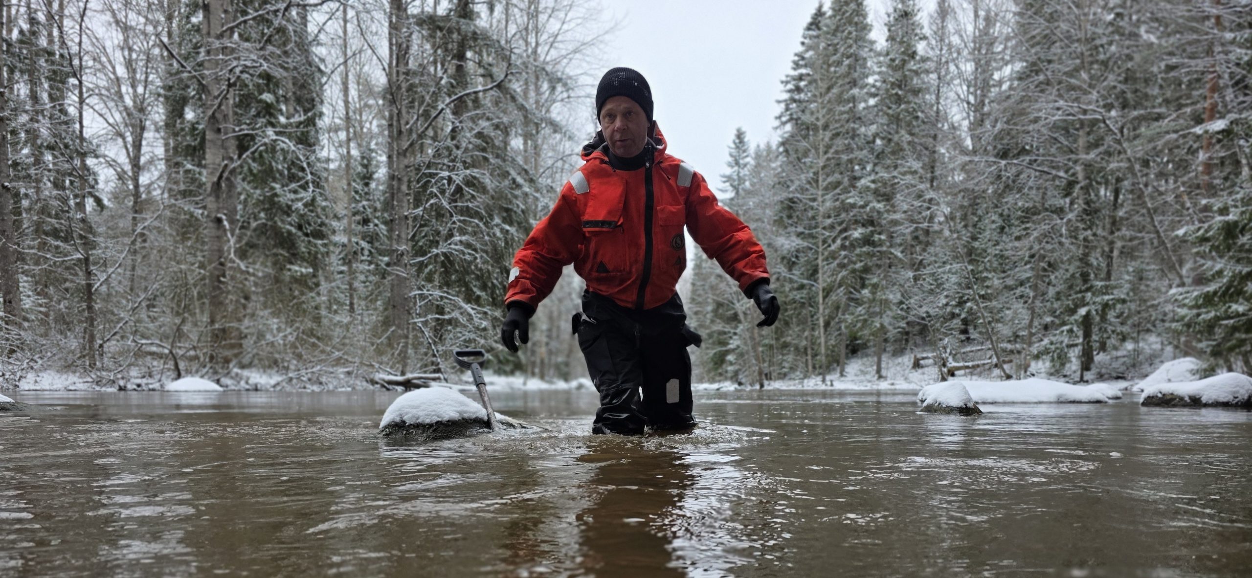 Taimenen mätimunarasioita istuttava henkilö kahlaa joessa.