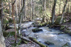 Vesi lähtee liikkeelle – kevät saapuu Pornaisiin.