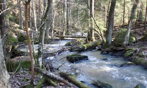 Vesi lähtee liikkeelle – kevät saapuu Pornaisiin.