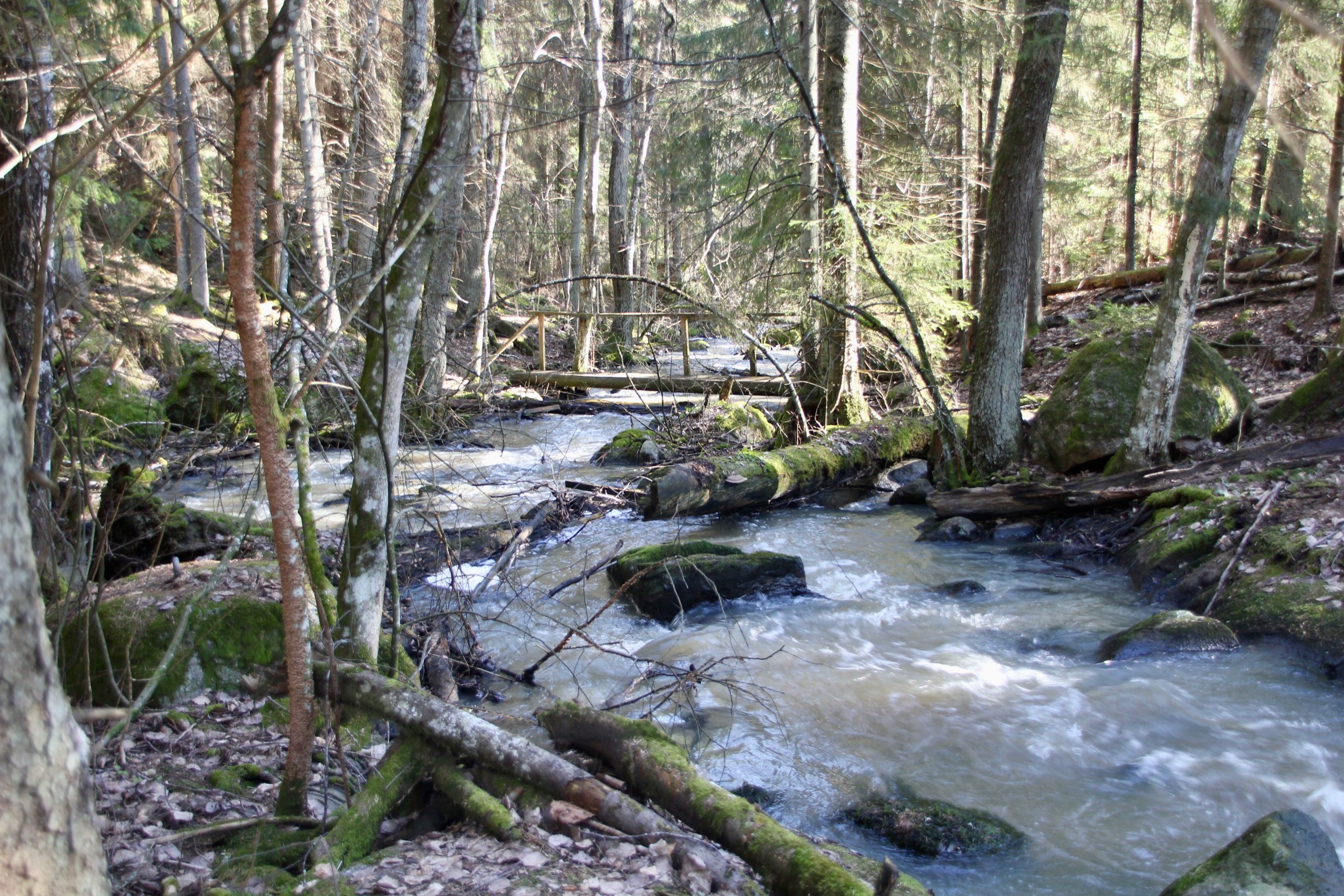 Vesi lähtee liikkeelle – kevät saapuu Pornaisiin.